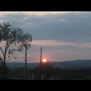 Meet your Posher, Jillian